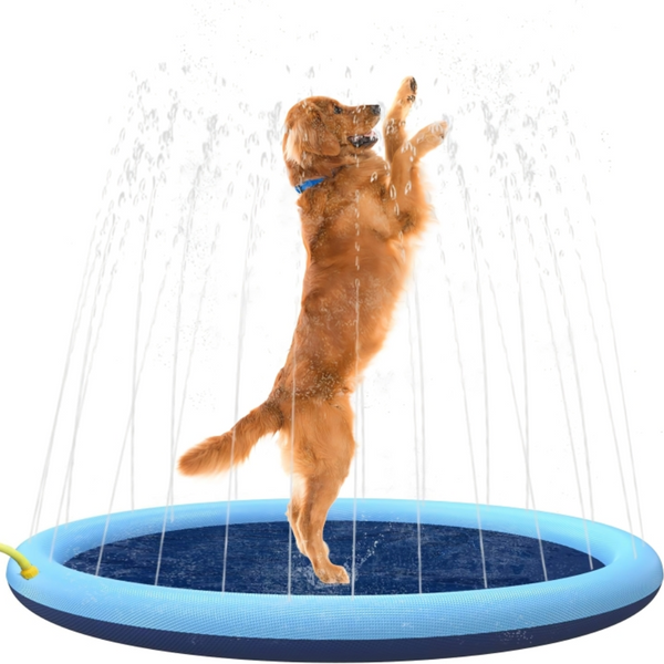 Dog Sprinkler Pool